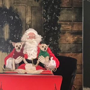 Meet your Posher, Maureen